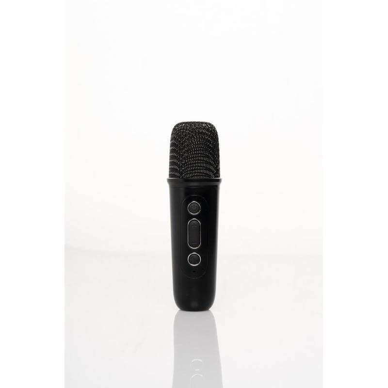 TERAMO - Giftology Karaoke Speaker with Mic