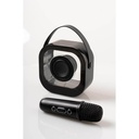 TERAMO - Giftology Karaoke Speaker with Mic