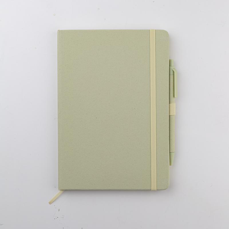 ABULA - eco-neutral A5 Fruit Paper Hard Cover Notebook & Ball Pen - Kiwi