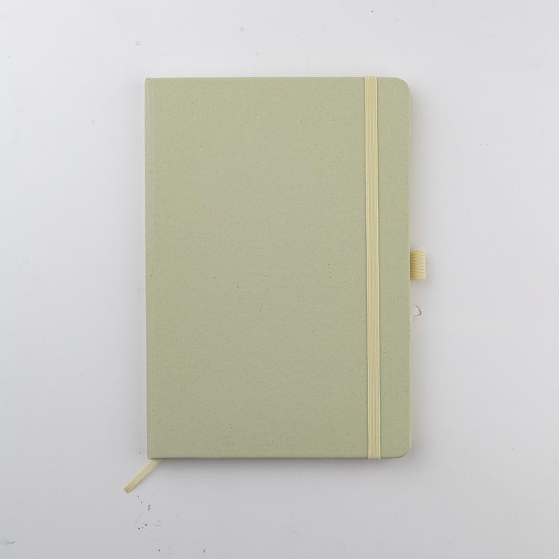 ABULA - eco-neutral A5 Fruit Paper Hard Cover Notebook & Ball Pen - Kiwi