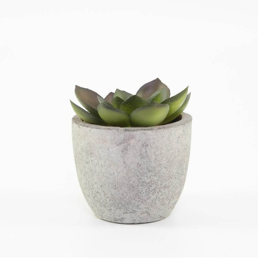 [MSSP 9223] CAMAS - Artificial Succulent Plant in Pulp Pot